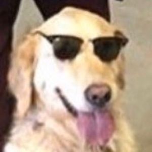 Meet your Posher, Paulina